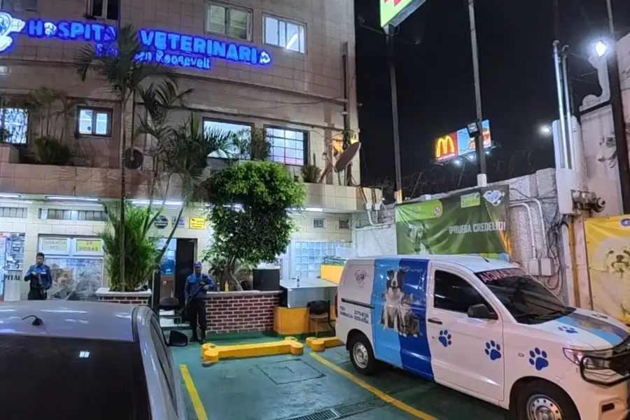 Hospitalización