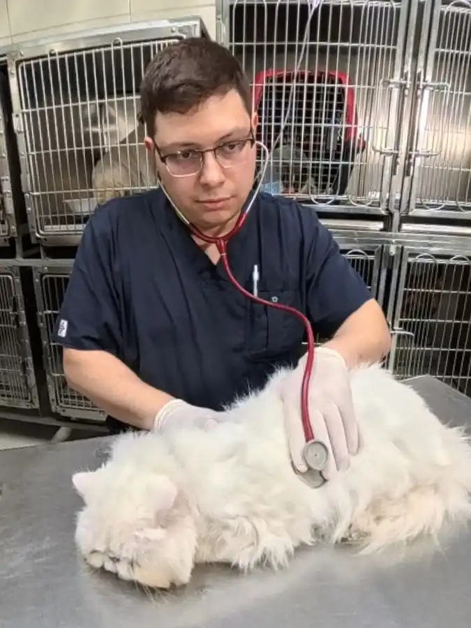 Médico Veterinario