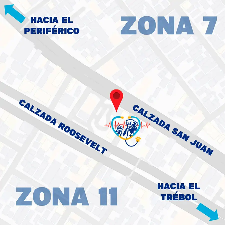 Ubicación