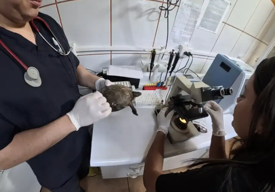 Laboratorio